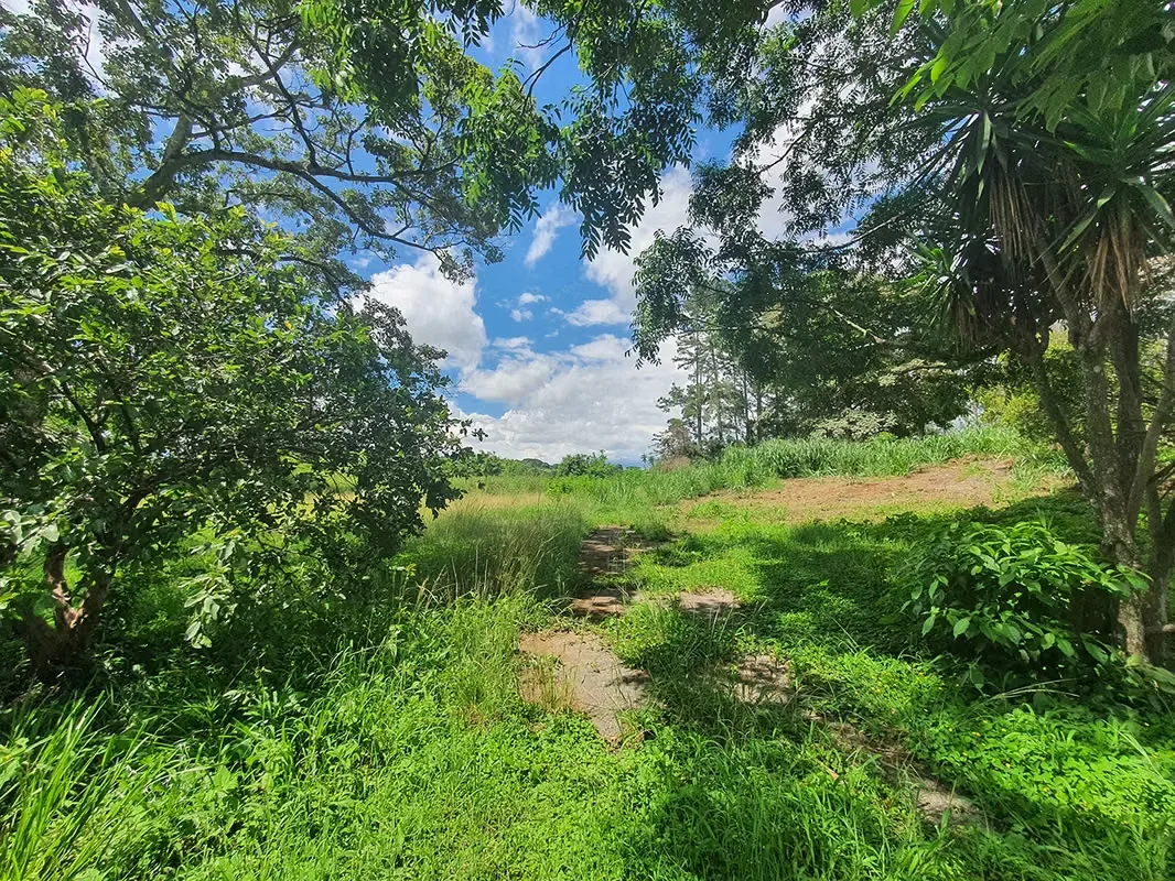 A solo 13 min y 6.3 Km del peaje hacia Ciudad Colón se encuentra este precioso lote, en un área campestre, pero muy cerca de Ciudad Colón, plano y rectangular, ideal para construir ..., photo 4