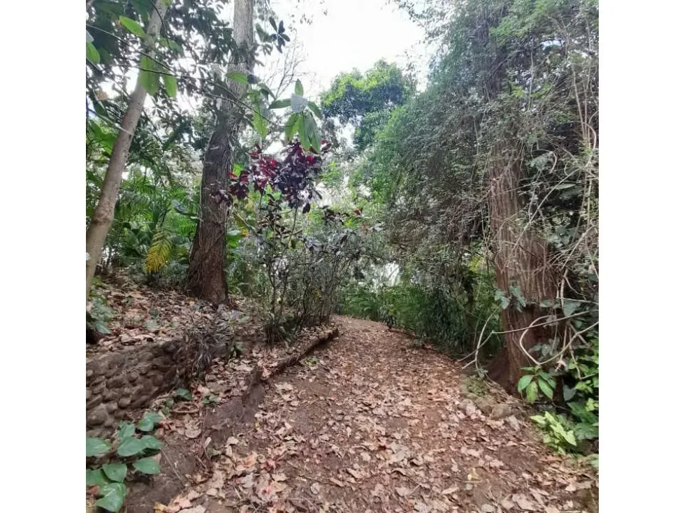 Este terreno cuenta con un USO DE SUELO de media alta densidad, ideal para proyectos inmobiliarios de 40 casas, kinder, ESCUELAS, COLEGIOS, ASILO DE ANCIANOS , BED and ..., photo 2