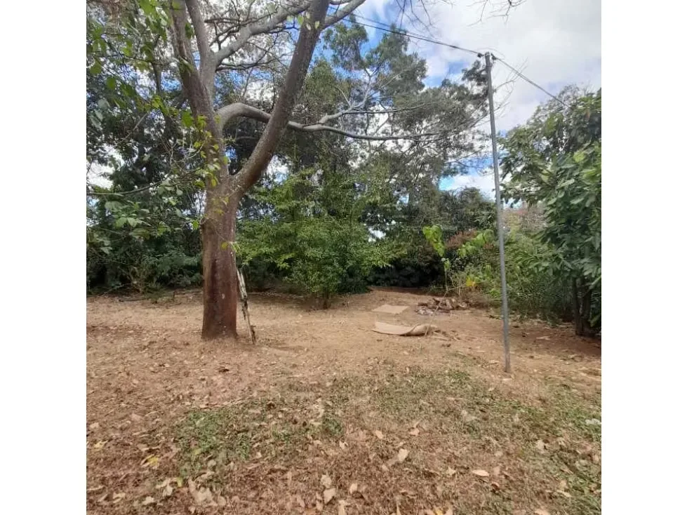 Este terreno cuenta con un USO DE SUELO de media alta densidad, ideal para proyectos inmobiliarios de 40 casas, kinder, ESCUELAS, COLEGIOS, ASILO DE ANCIANOS , BED and ..., photo 3