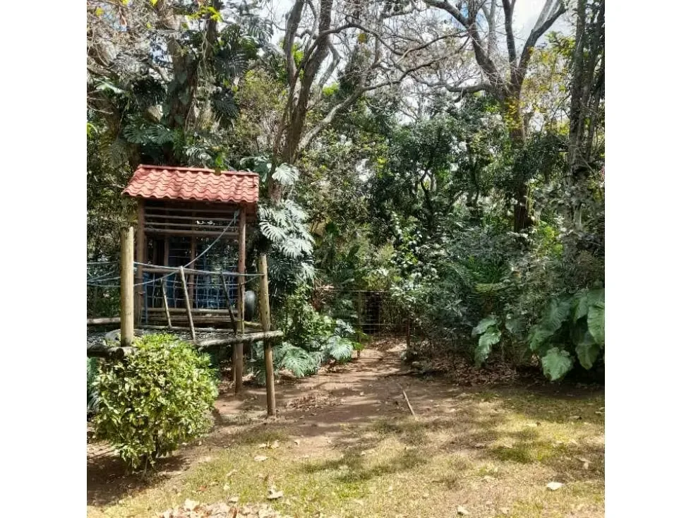 Este terreno cuenta con un USO DE SUELO de media alta densidad, ideal para proyectos inmobiliarios de 40 casas, kinder, ESCUELAS, COLEGIOS, ASILO DE ANCIANOS , BED and ..., photo 7