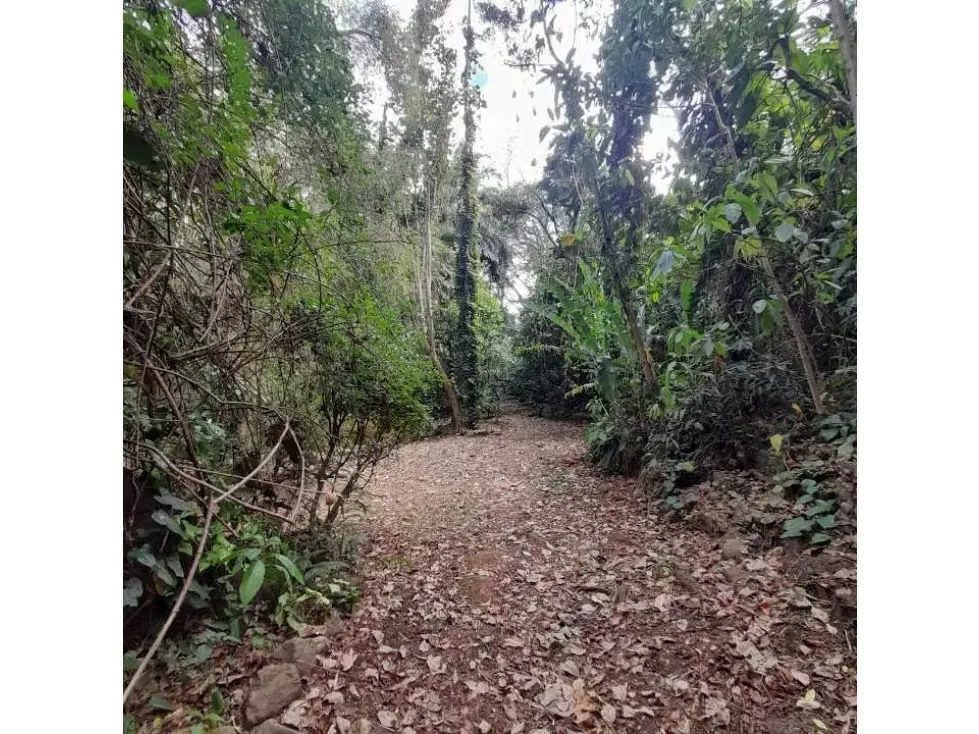 Este terreno cuenta con un USO DE SUELO de media alta densidad, ideal para proyectos inmobiliarios de 40 casas, kinder, ESCUELAS, COLEGIOS, ASILO DE ANCIANOS , BED and ..., photo 9