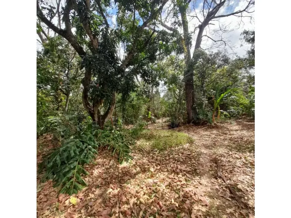Este terreno cuenta con un USO DE SUELO de media alta densidad, ideal para proyectos inmobiliarios de 40 casas, kinder, ESCUELAS, COLEGIOS, ASILO DE ANCIANOS , BED and ..., photo 10