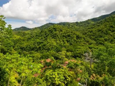 Multi-Home Luxury Estate, With Jungle, Mountain And Ocean Views, Private Waterfalls, photo 7