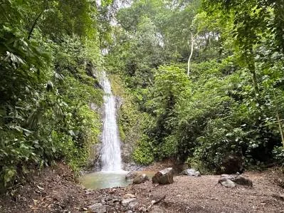 Multi-Home Luxury Estate, With Jungle, Mountain And Ocean Views, Private Waterfalls, photo 8