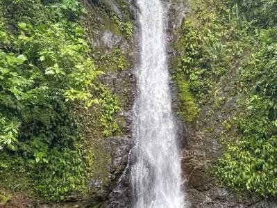 Multi-Home Luxury Estate, With Jungle, Mountain And Ocean Views, Private Waterfalls, photo 9