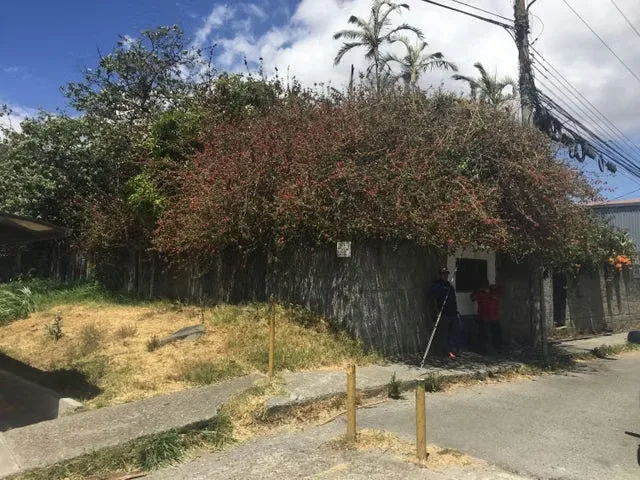 Descubra una excelente oportunidad de inversión en una ubicación estratégica, justo al lado de Terramall y con acceso inmediato a la ..., photo 8