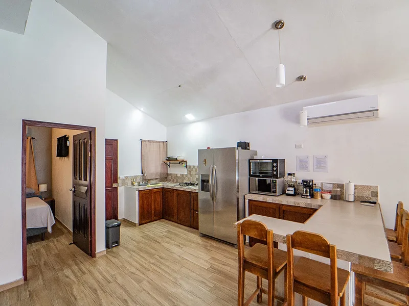 3 Bed Single Family Homes For Sale in Samara, photo 13