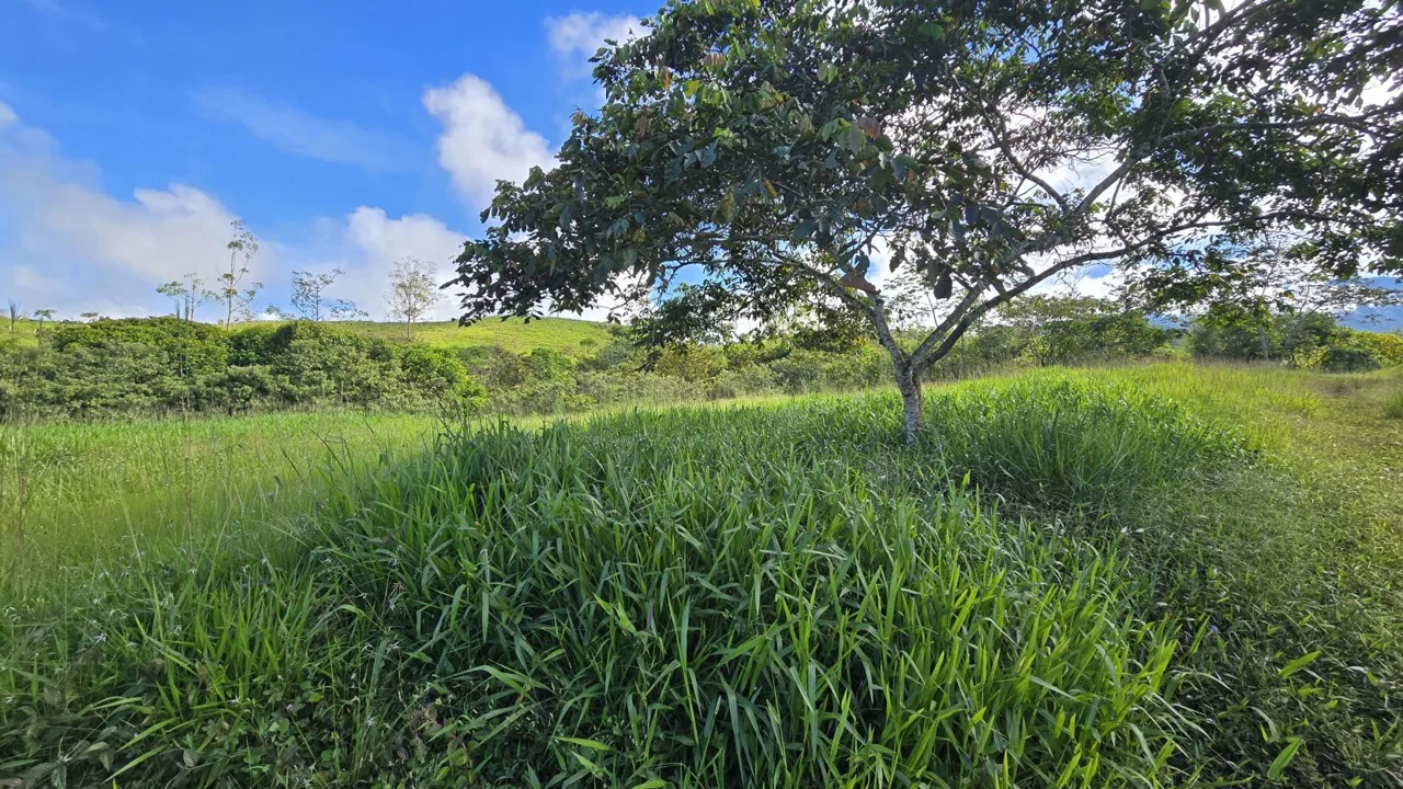Beautiful Lot for sale In The Heart Of RISE Community – 7,171 sqmt With Loving Views And Creeks In Santa Elena., photo 6