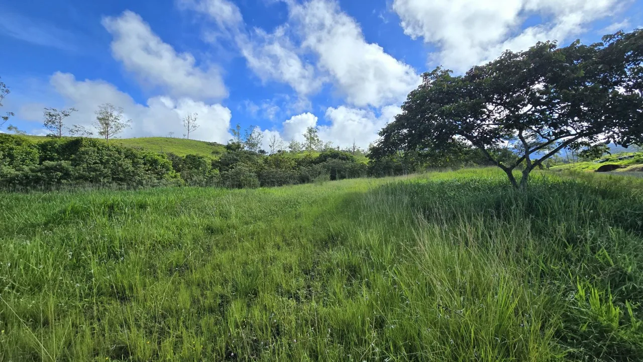 Beautiful Lot for sale In The Heart Of RISE Community – 7,171 sqmt With Loving Views And Creeks In Santa Elena., photo 7