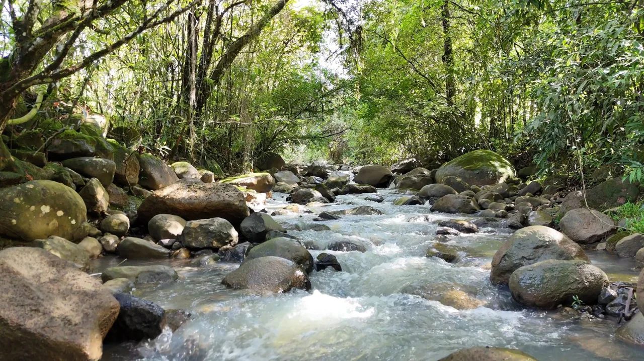 Beautiful Lot for sale In The Heart Of RISE Community – 7,171 sqmt With Loving Views And Creeks In Santa Elena., photo 8