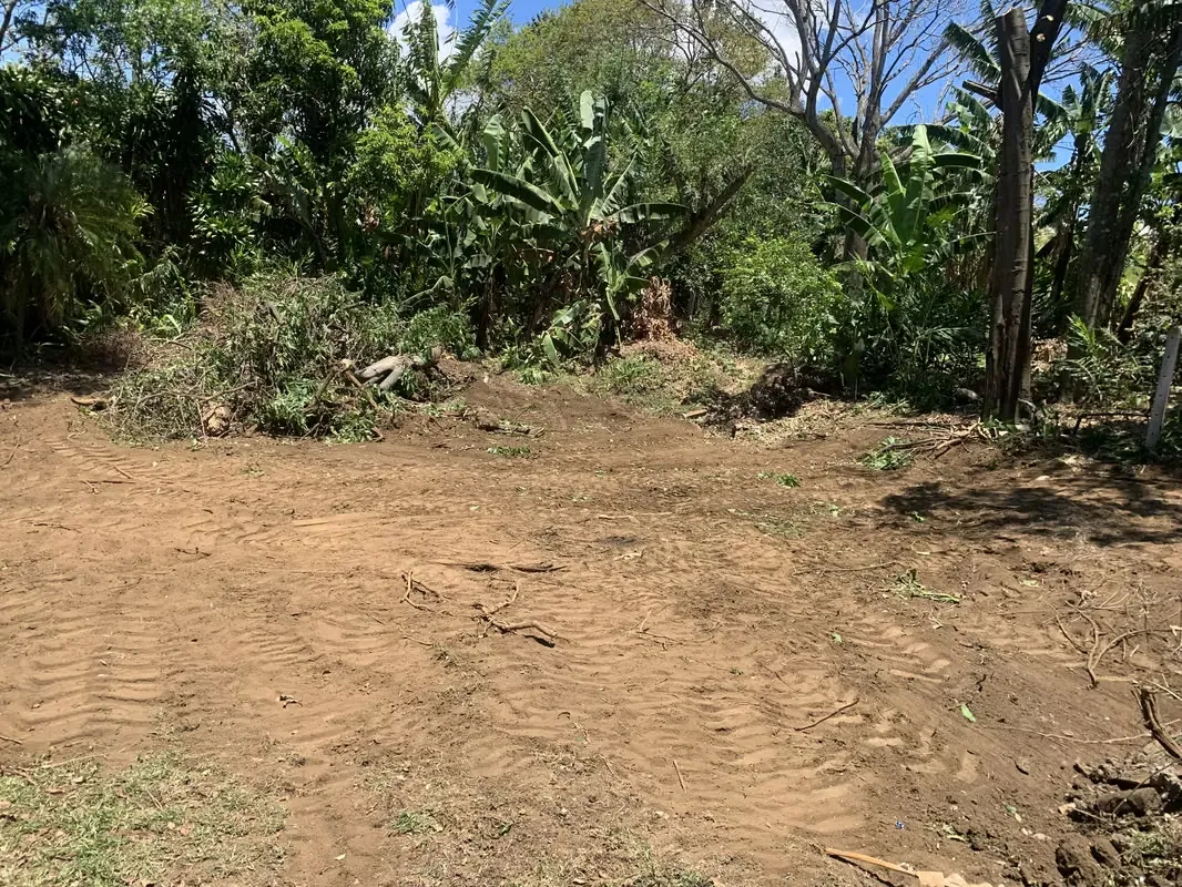2 properties with reduced price in San Juan de Santa Barbara:, photo 2