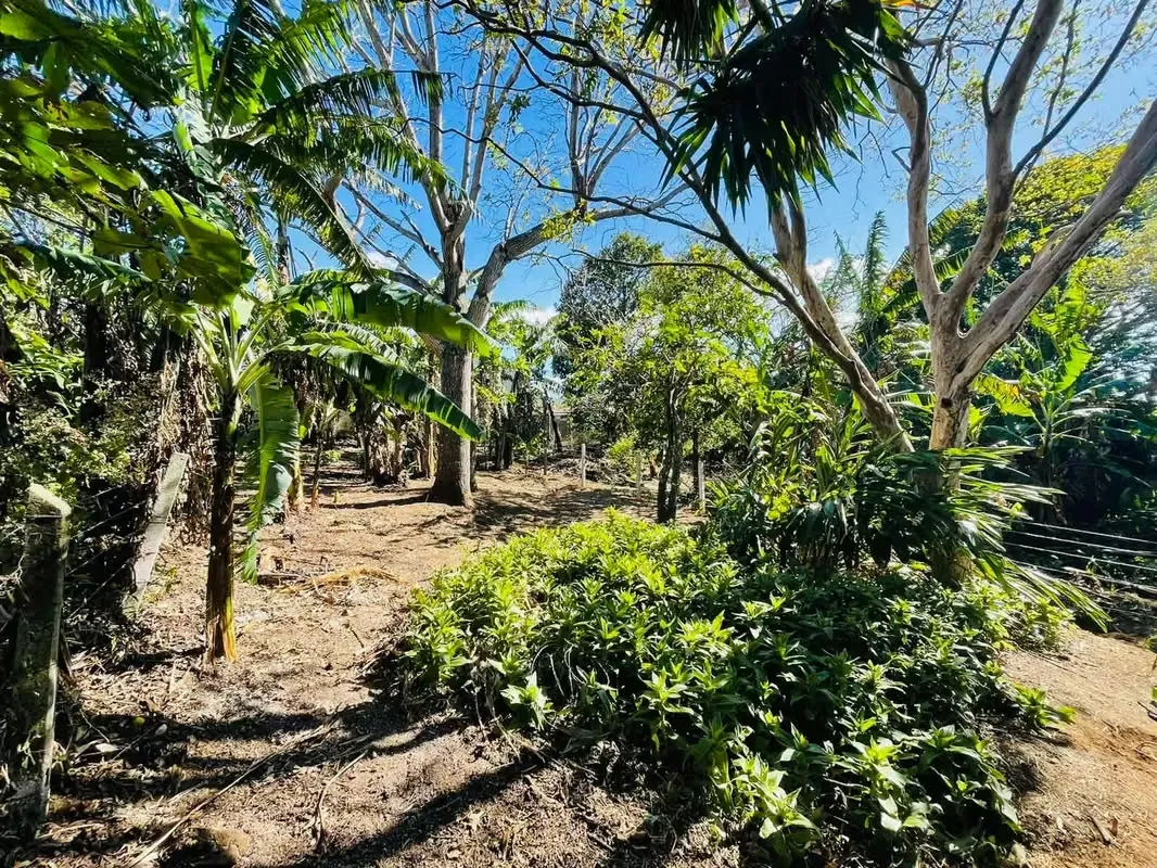 2 properties with reduced price in San Juan de Santa Barbara:, photo 4