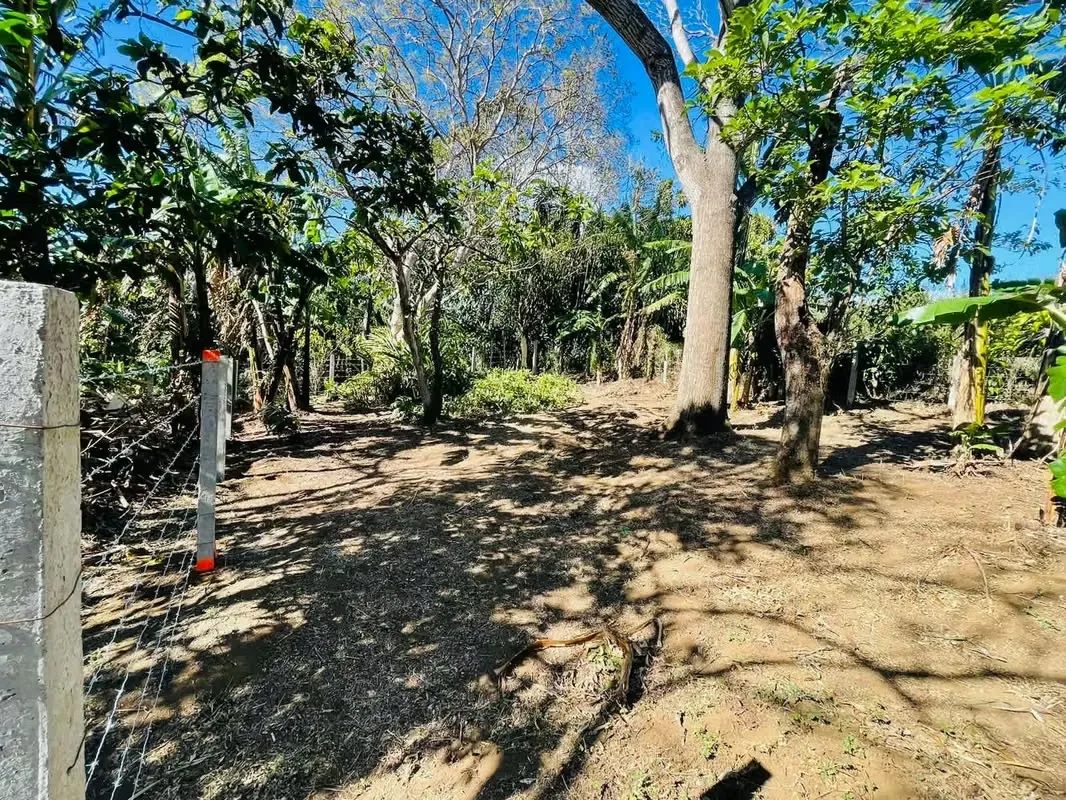 2 properties with reduced price in San Juan de Santa Barbara:, photo 5