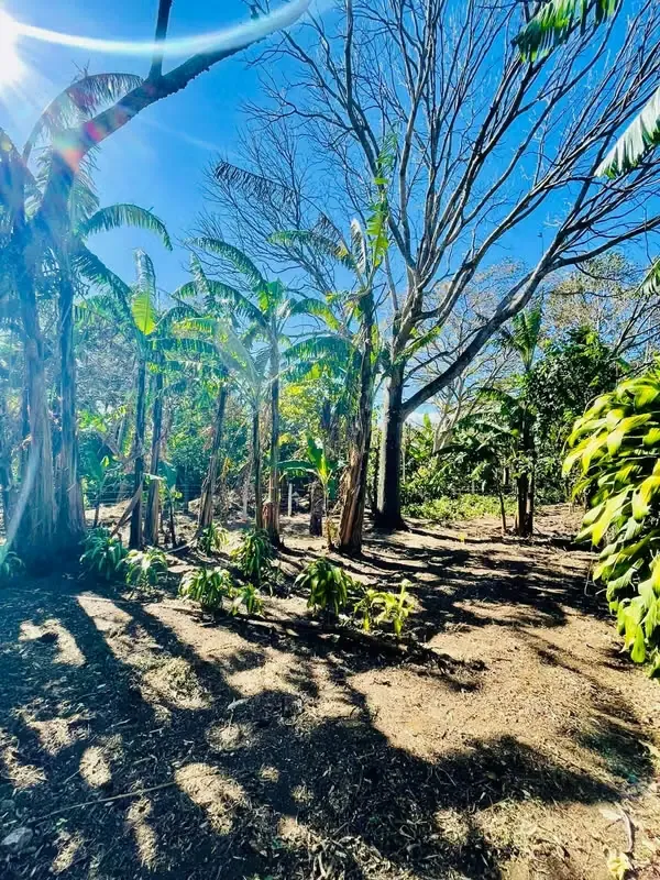 2 properties with reduced price in San Juan de Santa Barbara:, photo 7