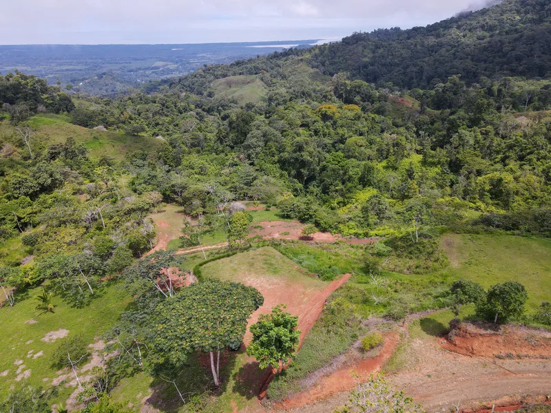 Land For Sale in Ojochal