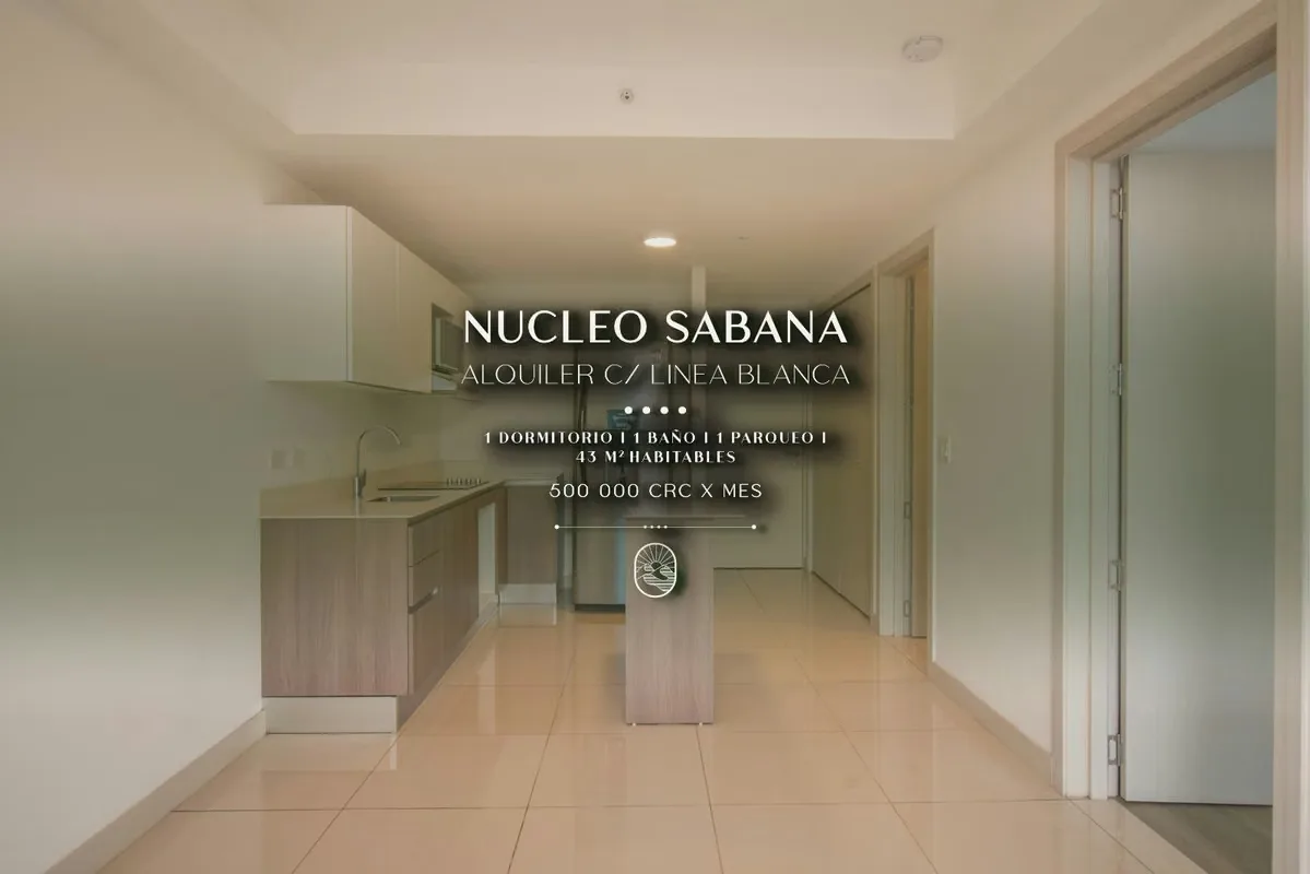 1 HAB APARTMENT FOR RENT IN THE CENTRE OF SPAIN - 124; THE APARTMENT, SAN JOSÉ