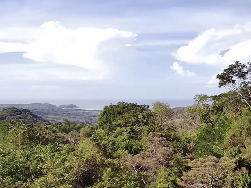 Land For Sale in Playa San Miguel