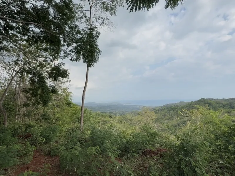 Land For Sale in Playa San Miguel, photo 3