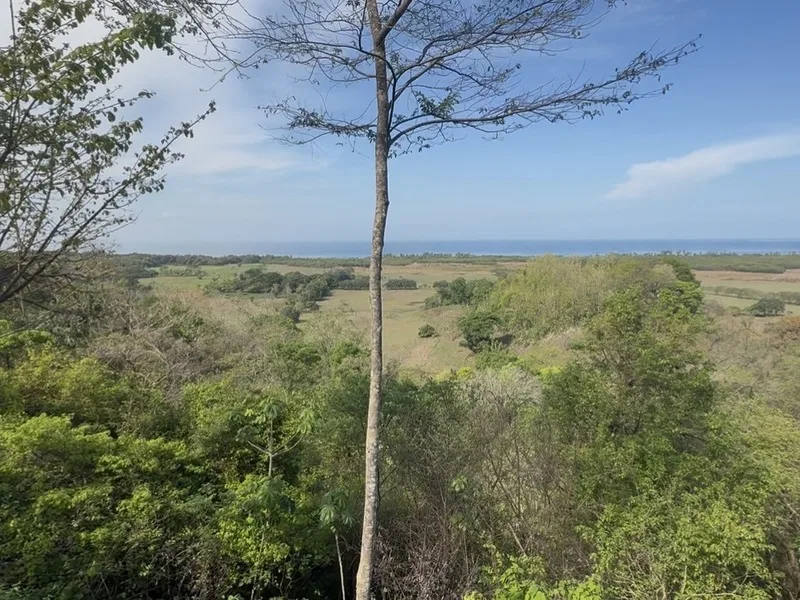 Land For Sale in Playa San Miguel, photo 4