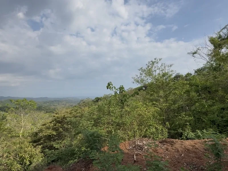 Land For Sale in Playa San Miguel, photo 8
