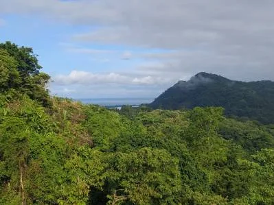 Espectacular lote con vista al mar, a la montaña y al valle del río | Tres Ríos, photo 7