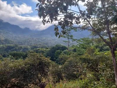 Espectacular lote con vista al mar, a la montaña y al valle del río | Tres Ríos, photo 9