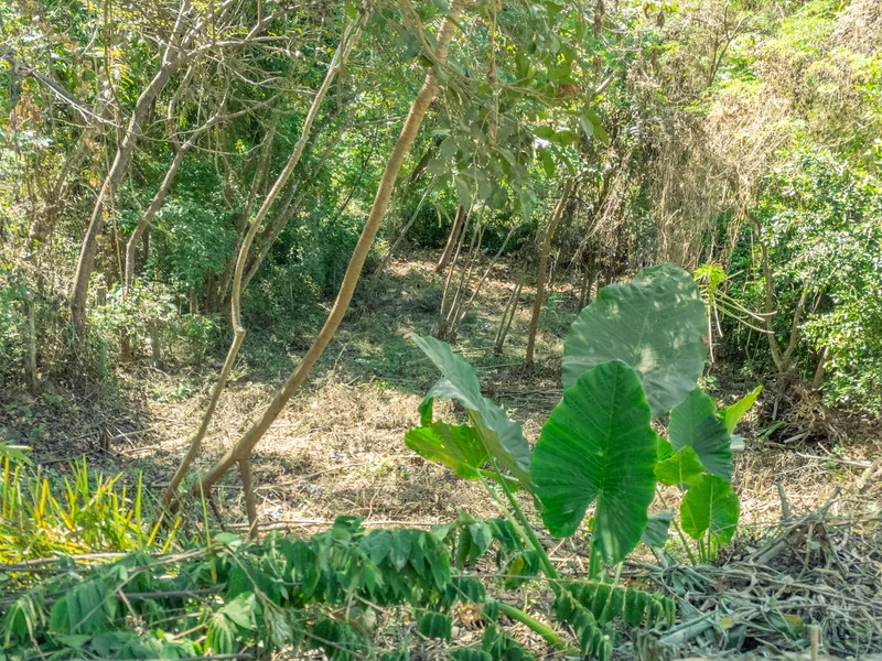 Land For Sale in Nosara, photo 3