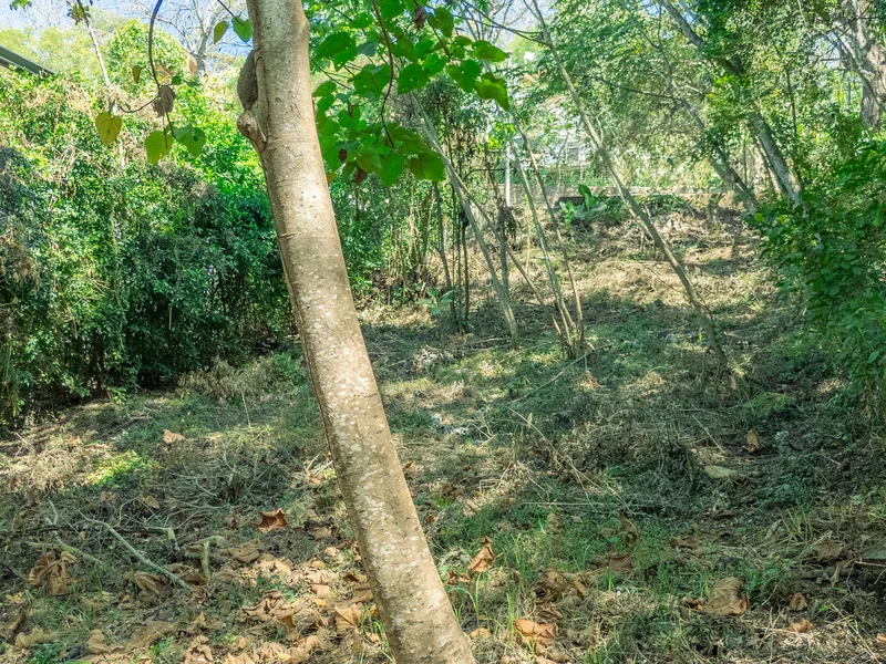 Land For Sale in Nosara, photo 4