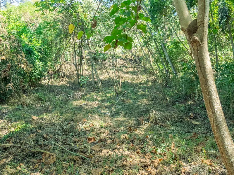 Land For Sale in Nosara, photo 5