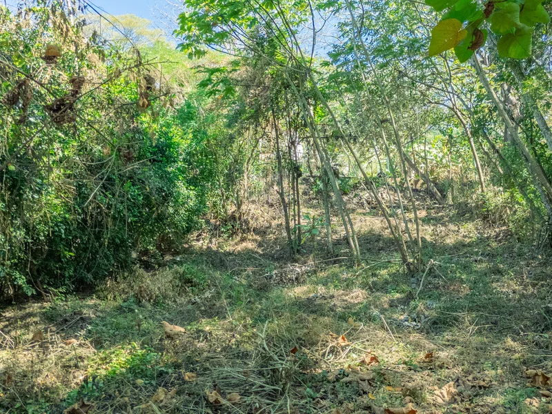 Land For Sale in Nosara, photo 6