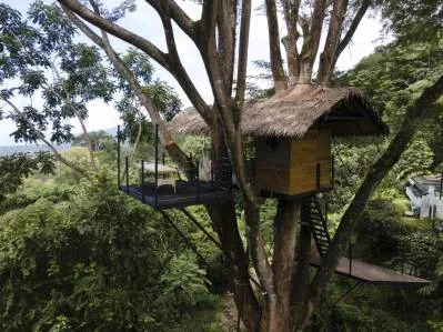 Castillo de La Selva, photo 6