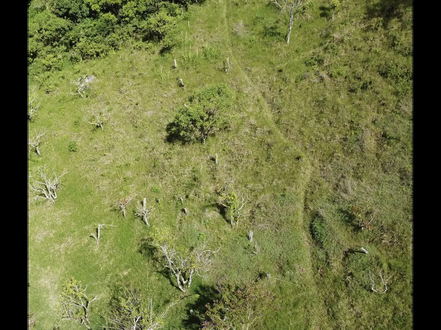 Venta de lotes en terreno de 22 Ha, Copalchí, Quebradilla, Cartago, photo 2