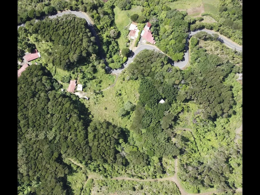 Venta de lotes en terreno de 22 Ha, Copalchí, Quebradilla, Cartago, photo 4