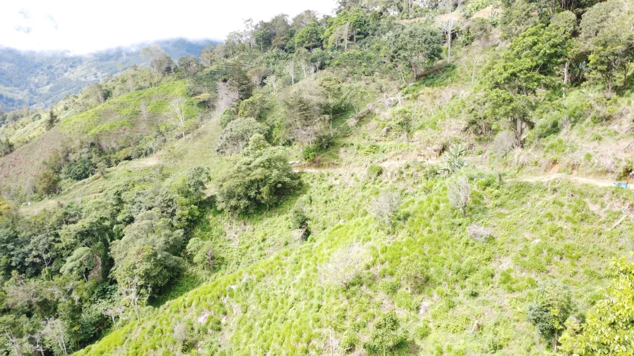 Off-Grid Opportunity - Private Retreat Lot for Sale in Perez Zeledon, photo 12
