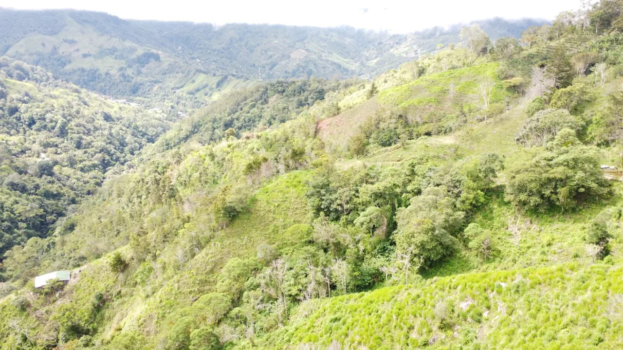 Off-Grid Opportunity - Private Retreat Lot for Sale in Perez Zeledon, photo 13