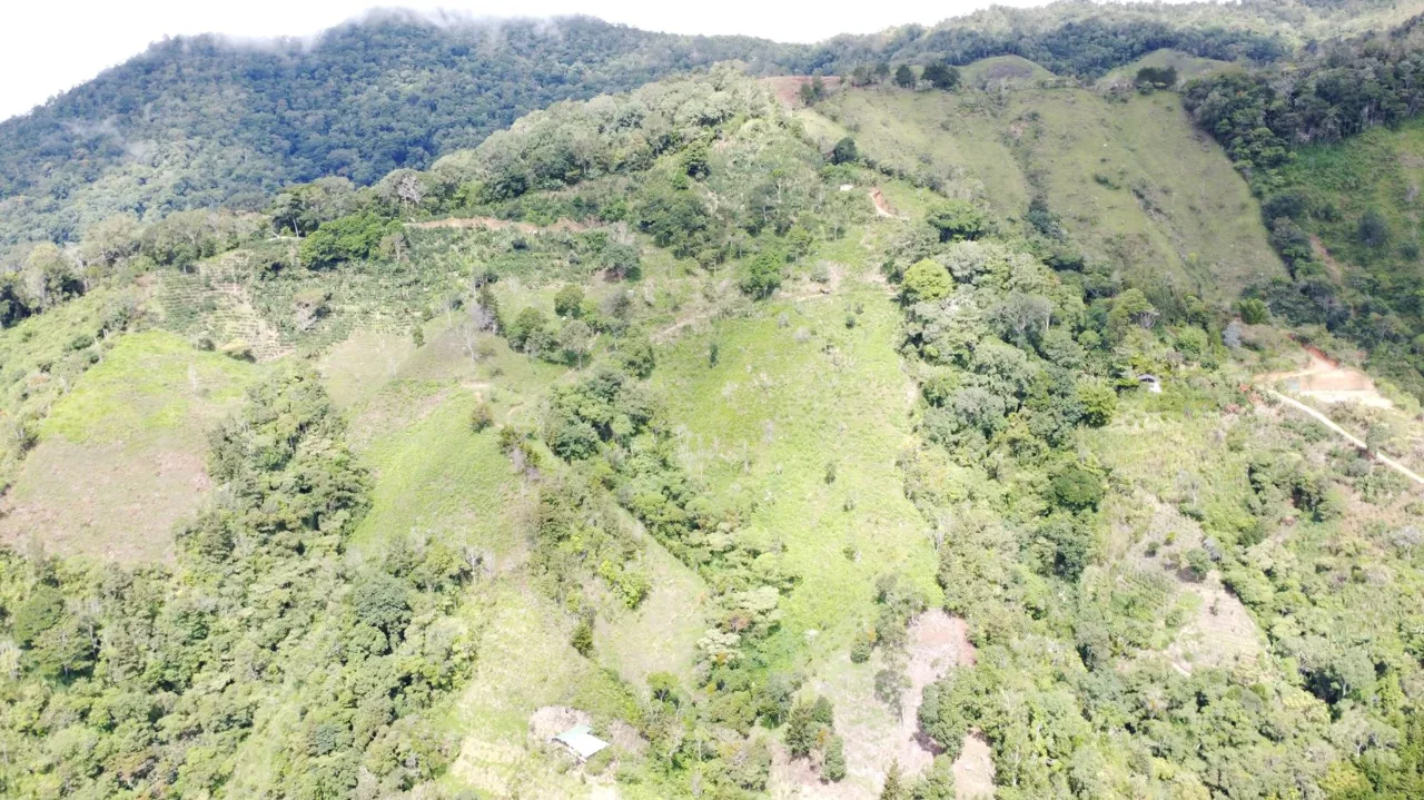 Off-Grid Opportunity - Private Retreat Lot for Sale in Perez Zeledon, photo 15
