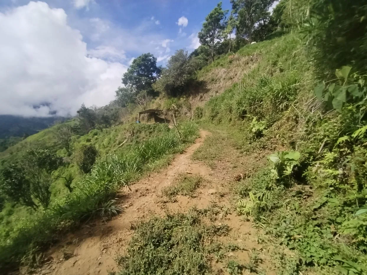 Off-Grid Opportunity - Private Retreat Lot for Sale in Perez Zeledon, photo 6