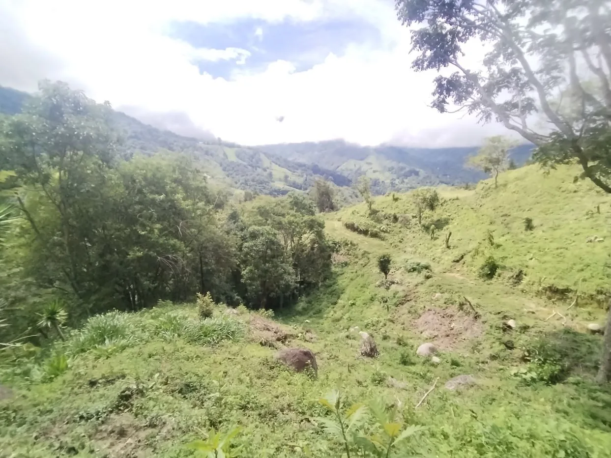 Off-Grid Opportunity - Private Retreat Lot for Sale in Perez Zeledon, photo 8
