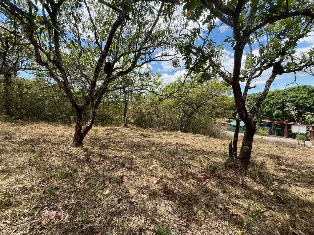 Land for Sale in Orotina