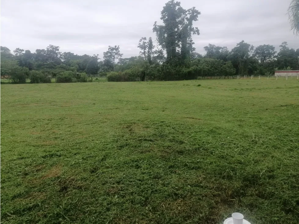 DESCRIPCION DETALLADA: lote de topografía plana, con una cobertura del 80% , con entrada ..., photo 2