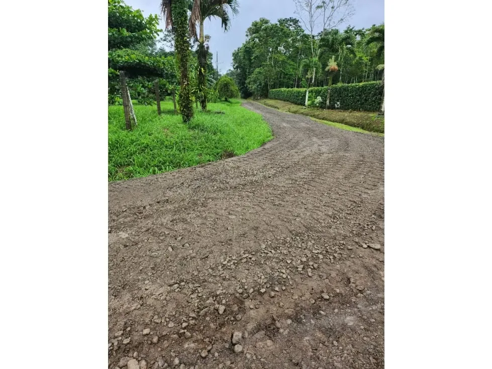 DESCRIPCION DETALLADA: lote de topografía plana, con una cobertura del 80% , con entrada ..., photo 6