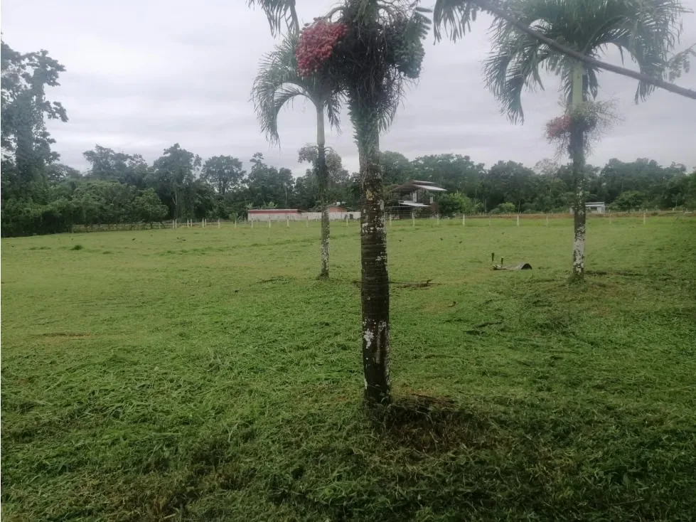 DESCRIPCION DETALLADA: lote de topografía plana, con una cobertura del 80% , con entrada ..., photo 7