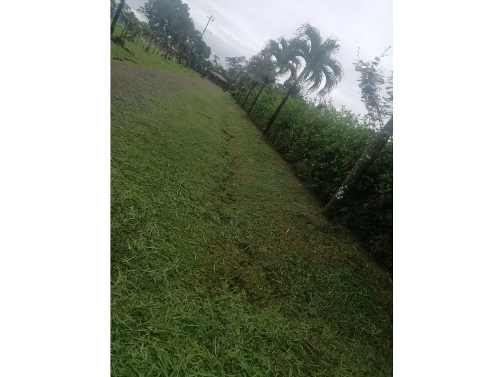 DESCRIPCION DETALLADA: lote de topografía plana, con una cobertura del 80% , con entrada ..., photo 8