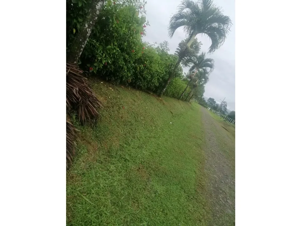 DESCRIPCION DETALLADA: lote de topografía plana, con una cobertura del 80% , con entrada ..., photo 9