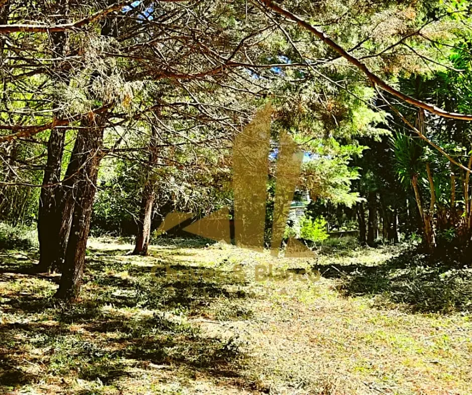 Spectacular 7,000 m² (1.73-Acre) Estate in Bosque de la Hoja: The perfect balance of ultimate seclusion and premium accessibility, photo 4