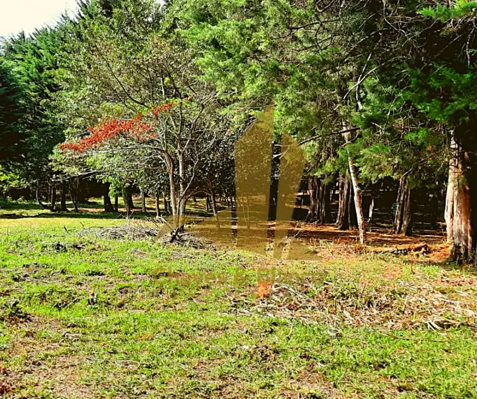 Spectacular 7,000 m² (1.73-Acre) Estate in Bosque de la Hoja: The perfect balance of ultimate seclusion and premium accessibility, photo 8