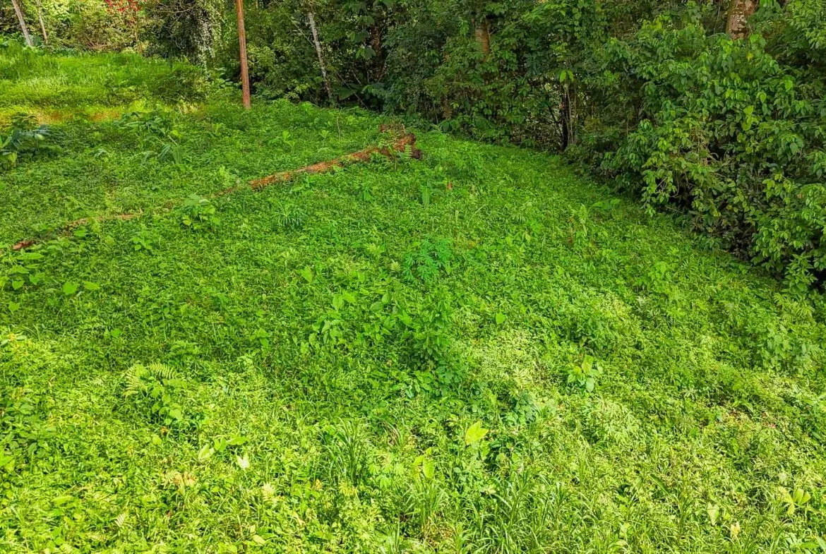 BUILDING PROPERTY IN A GATED COMMUNITY, IN OJOCHAL – 0.13 ACRES, photo 18