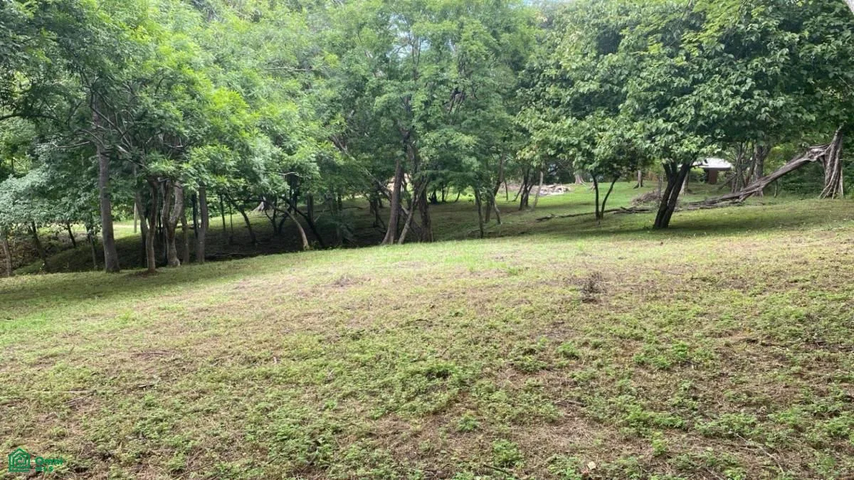 Terreno de 5,000 m a pocos minutos de Tamarindo