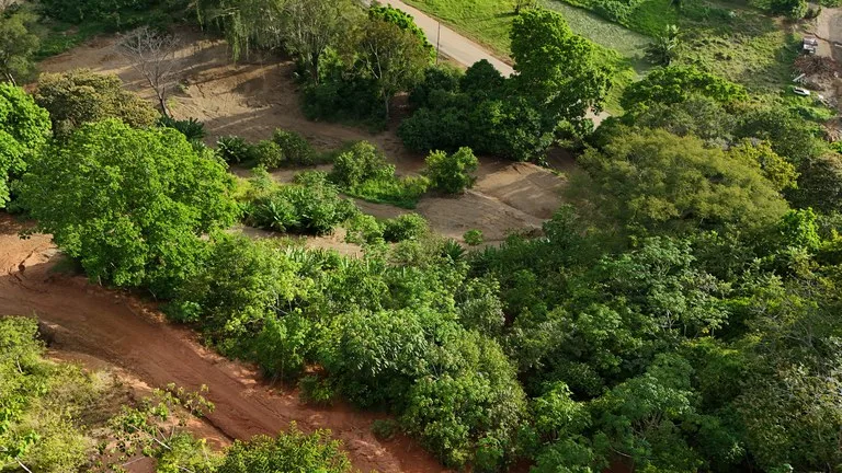 Stunning Ocean and Terraba River view property in Ojochal, photo 12
