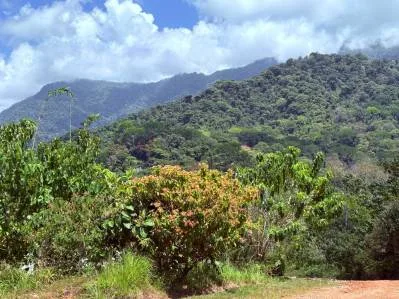 PROPERTY WITH OCEAN FRONT VIEWS, IN OJOCHAL – 0.31 ACRES, photo 26